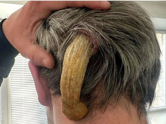 <더 미러 보도 캡처>